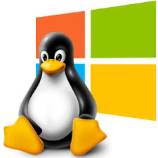 linux or windows